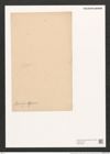 Homoeocladia kotschyi Grun. (de-Toni-Nr.: Genus 48, Species 2191) Zeichnungen Sammlung Grunow (NHMW-BOT-W0372598)